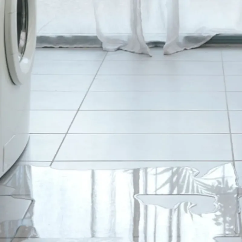 Appliance Leak Cleanup in Greenville, ME