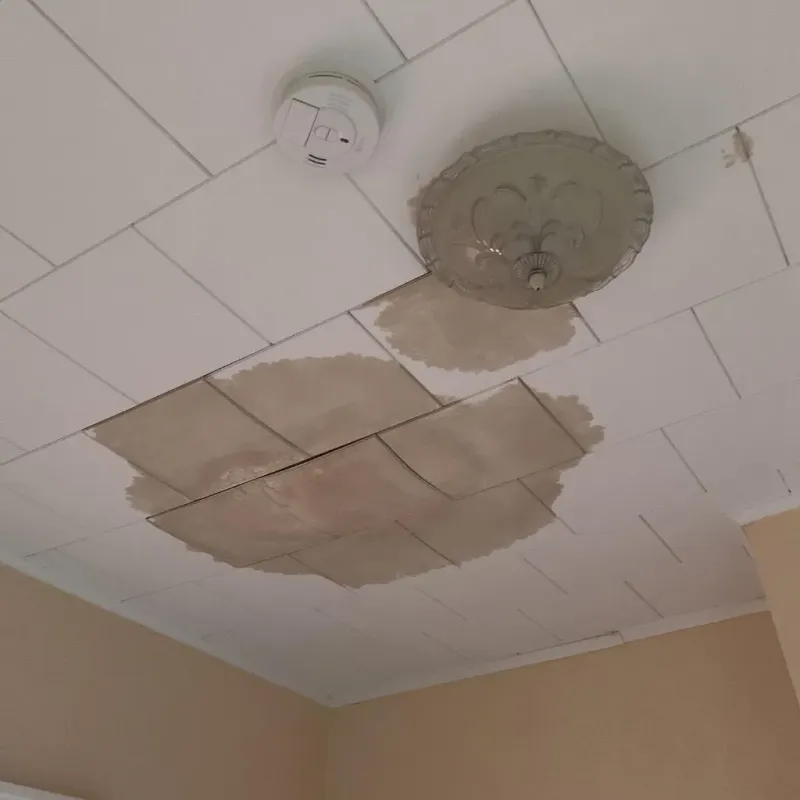 Ceiling Water Damage Repair in Greenville, ME