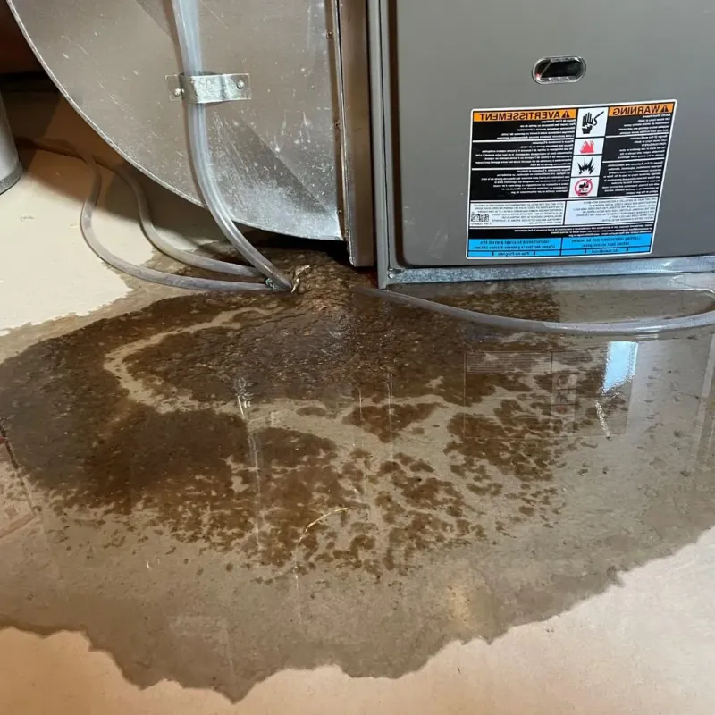 Pipe Burst and Leak Restoration in Greenville, ME